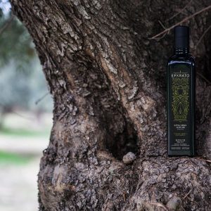 efkrato olive oil bran