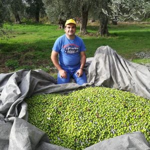 socrates olive oil brand